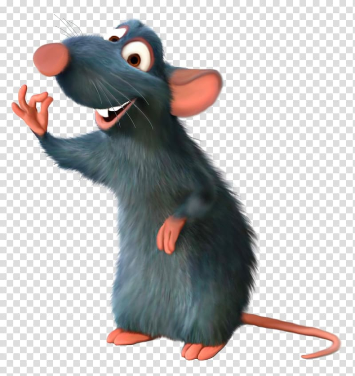 black,rat,cartoon,animation,mammal,animals,pixar,snout,muridae,drawing,muroidea,pest,rodent,mouse,black rat,cartoon animation,illustration,png clipart,free png,transparent background,free clipart,clip art,free download,png,comhiclipart