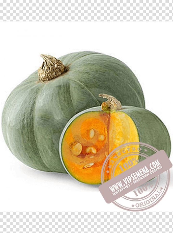 crookneck,pumpkin,cucurbita,maxima,cultivar,seed,auglis,tamarind,miscellaneous,food,orange,others,gourd,melon,fruit,superfood,winter squash,form,pumpkin seed,vegetarian food,plant,vegetable,squash,peel,mesocarpi,big max,calabaza,commodity,crookneck pumpkin,cucumber gourd and melon family,cucurbita maxima,gourd order,yellow,png clipart,free png,transparent background,free clipart,clip art,free download,png,comhiclipart