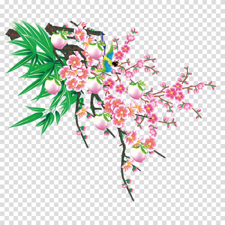 plum,blossom,peach,google,images,tree,watercolor painting,flower arranging,painted,tree branch,hand,branch,palm tree,color,pine tree,flower,fruit  nut,spring,family tree,trees,peach blossom,petal,pink,plant,rgb color model,search engine,moutan peony,creative work,cut flowers,designer,flora,floral design,floristry,christmas tree,flower bouquet,flowering plant,graphic design,cherry blossom,hand painted,line,autumn tree,plum blossom,google images,peach tree,png clipart,free png,transparent background,free clipart,clip art,free download,png,comhiclipart