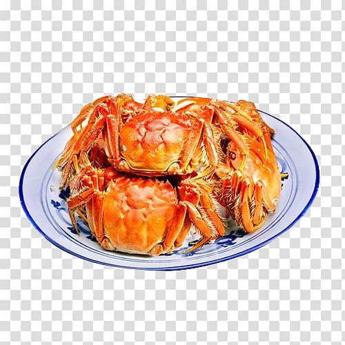 yangcheng,lake,large,crab,ucuf,chinese,mitten,wild,food,crustacean,king,animals,seafood,recipe,eating,cuisine,animal source foods,crab meat,chinese mitten crab,shanghai food,side dish,thai food,u54c1u87f9,wild animals,wild crab,wild flower,wild flowers,wilde,yangcheng lake,autumn,crabs,decapoda,dish,dungeness crab,crab vector,information,jiangsu,kind,king crab,midautumn festival,price,product kind,yangcheng lake large crab,png clipart,free png,transparent background,free clipart,clip art,free download,png,comhiclipart