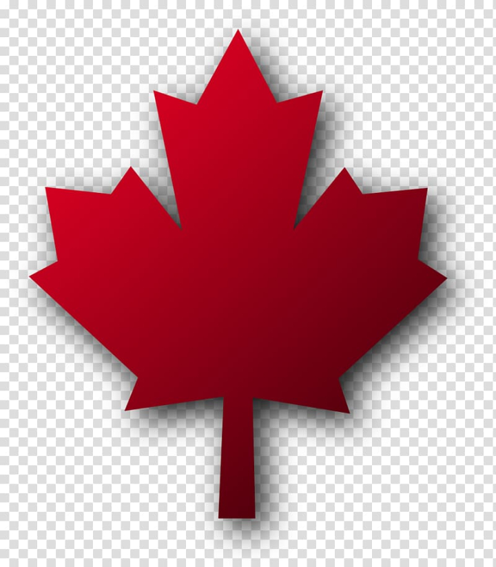 flag,canada,maple,leaf,maple leaf,world,national symbol,symbol,tree,woody plant,red,plant,maple tree,flowering plant,flag of canada,computer icons,autumn leaf color,png clipart,free png,transparent background,free clipart,clip art,free download,png,comhiclipart