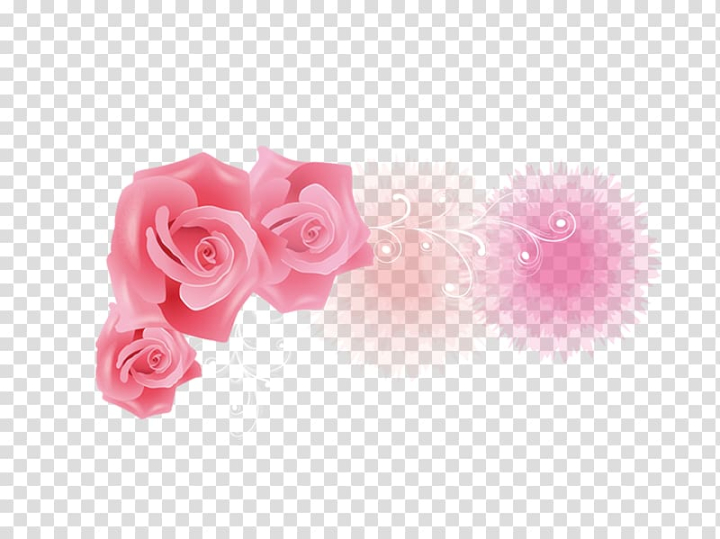 garden,roses,love,rose,love couple,flower,love birds,magenta,love background,flowers,rose order,rose petal,love stickers,romantic,rose family,pink,peach,garden roses,petal,love rose,png clipart,free png,transparent background,free clipart,clip art,free download,png,comhiclipart
