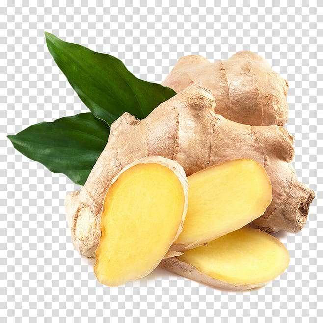 ginger,ale,herbaceous plant,food,nutrition,root,ginger tea,material,rhizome,ginger watercolor,bonsai,potato,root vegetable,specialty,spice,tuber,local specialty,local,food  drinks,free,free png,fresh ginger,ginger bread house,ginger house,ginger juice,ginger slices,health,ingredient,ginger ale,seed,vegetable,plant,png clipart,free png,transparent background,free clipart,clip art,free download,png,comhiclipart