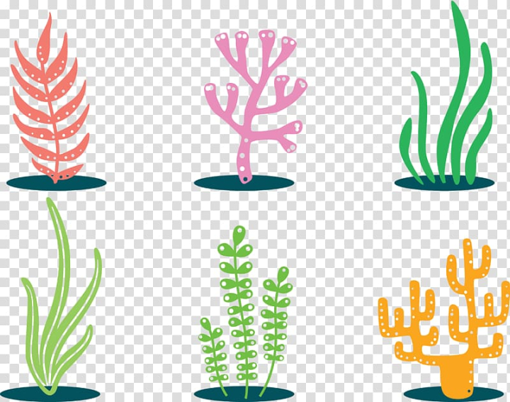 plants,botany,color splash,leaf,hand,color pencil,grass,colors,color,color powder,painting,bitmap,seaweed,seagrass,tree,line,plant,plants vector,potted plant,printing chart,algae,hand drawn color,grass family,bitmap graphic,color smoke,colorful vector,coralline algae,decoration drawing,designer,flowerpot,food  drinks,vector diagram,coral,colorful,png clipart,free png,transparent background,free clipart,clip art,free download,png,comhiclipart