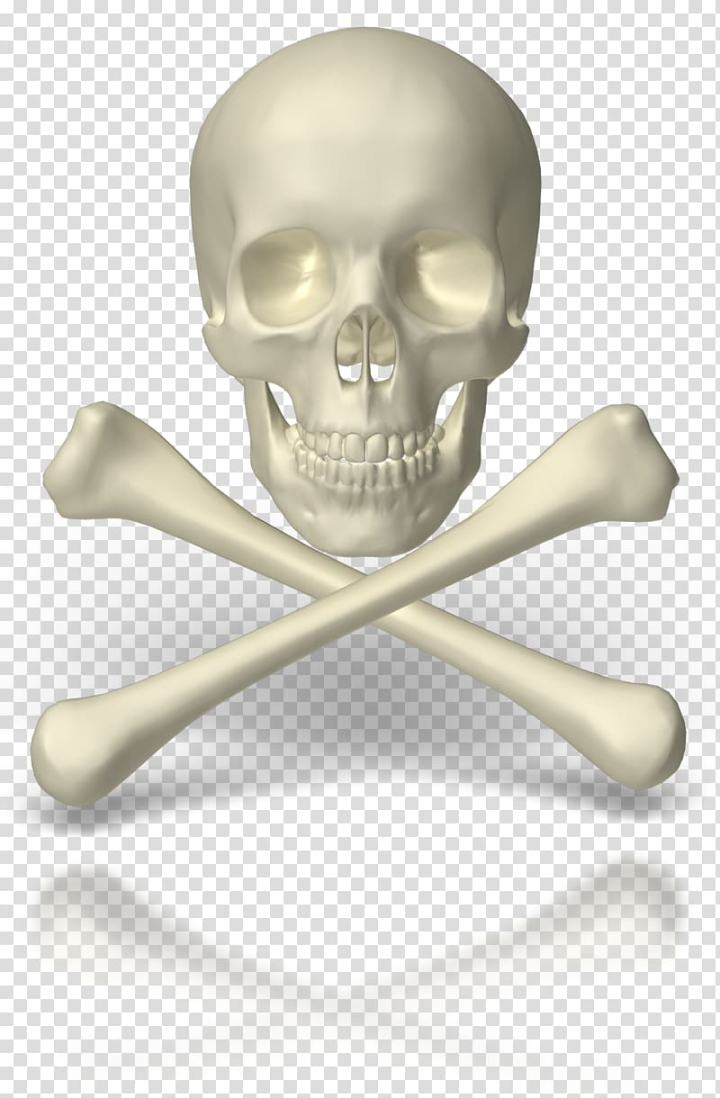 Skull and crossbones Human skull symbolism, skull transparent