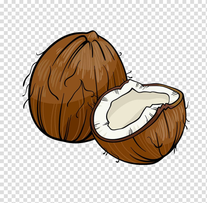 Free: Brown coconut shell, Coconut Cartoon Illustration, coconut  transparent background PNG clipart 