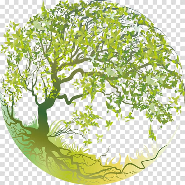 KF transparent background PNG cliparts free download