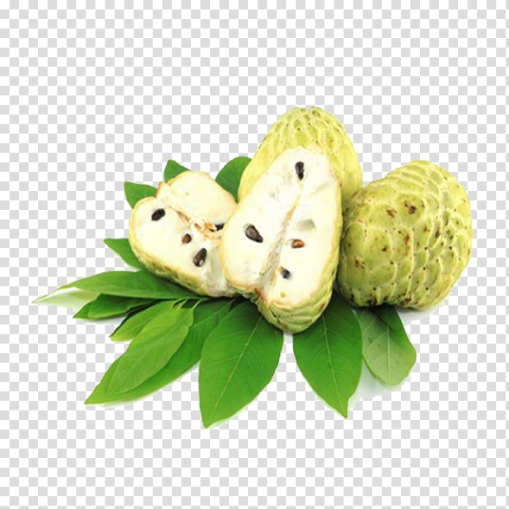 sugar,apple,white,sapote,natural foods,food,tropical fruit,superfood,fruit  nut,custard apple,sugarapple,tree,aggregate fruit,soursop,herb,fruit tree,cannelle,atemoya,sugar-apple,sugar apple,fruit,white sapote,png clipart,free png,transparent background,free clipart,clip art,free download,png,comhiclipart