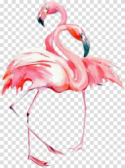 bird,watercolor,painting,drawing,flamingos,watercolor painting,animals,vertebrate,sticker,greater flamingo,animal,feather,dream,dreamy,water bird,beak,pink,paintbrush,flemish painting,flamingo,png clipart,free png,transparent background,free clipart,clip art,free download,png,comhiclipart