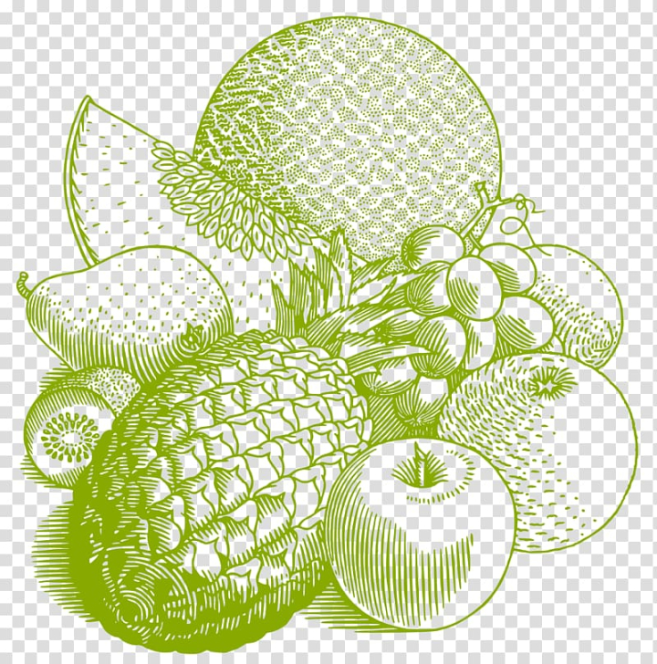 t,shirt,food,image file formats,citrus,tshirt,plant,organism,green,auglis,computer icons,clothing,circle,berry,vegetable,t-shirt,fruit,drawing,png clipart,free png,transparent background,free clipart,clip art,free download,png,comhiclipart