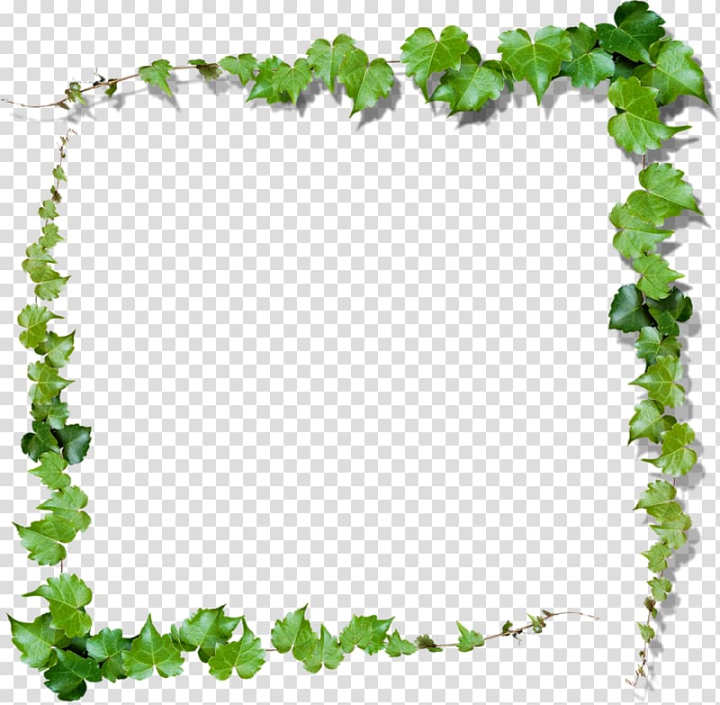 Green Vine PNG Transparent Images Free Download, Vector Files