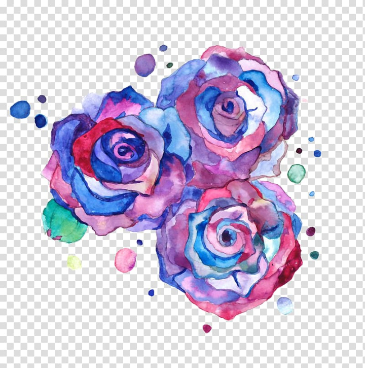 rose flower drawings with color