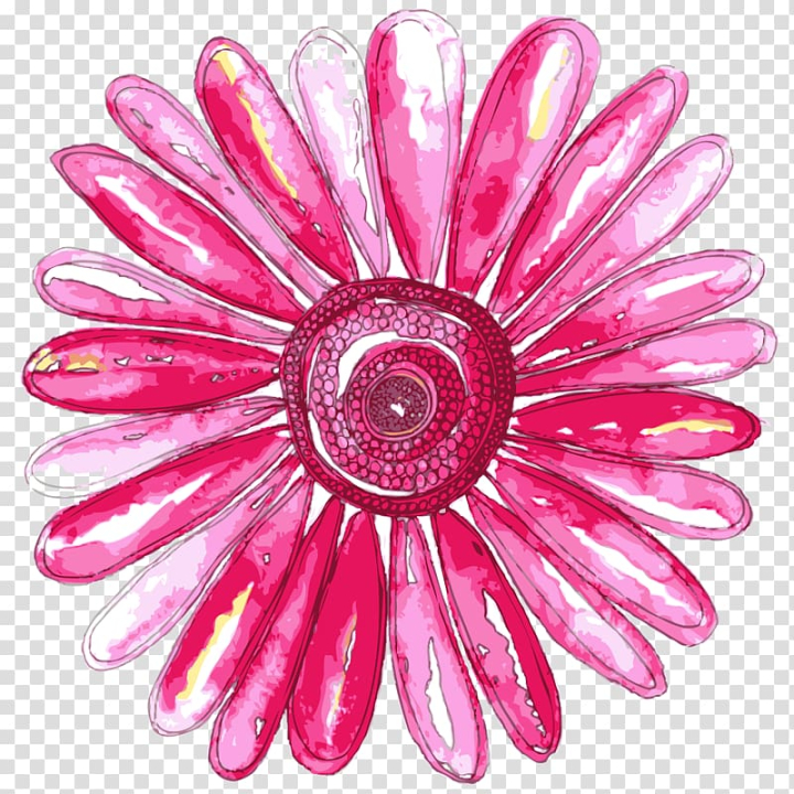 floral,design,transvaal,daisy,printmaking,watercolor,painting,flower,watercolor painting,magenta,daisy family,hydrangea,petal,pink,transvaal daisy,nature,gerbera,flowering plant,floral design,cut flowers,calligraphy,beauty,art director,all you need is love,png clipart,free png,transparent background,free clipart,clip art,free download,png,comhiclipart