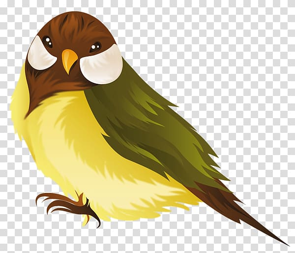 computer,icons,autumn,parrot,illustration,fauna,owl,royaltyfree,bird,desktop wallpaper,feather,perico,stock photography,parrot illustration,lovebird,computer icons,bird of prey,beak,autumn leaf color,wing,png clipart,free png,transparent background,free clipart,clip art,free download,png,comhiclipart