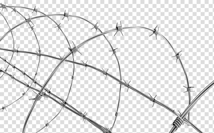 barbed,wire,chain,link,fencing,tape,borders,frames,fence,angle,outdoor structure,branch,symmetry,monochrome,home fencing,twig,structure,borders and frames,chainlink fencing,barbed wire,колючая проволока,wire fencing,area,колючий,stock photography,public utility,barb,barbed tape,black and white,circle,concertina wire,drawing,bicycle wheel,galvanization,line,line art,проволока,png clipart,free png,transparent background,free clipart,clip art,free download,png,comhiclipart