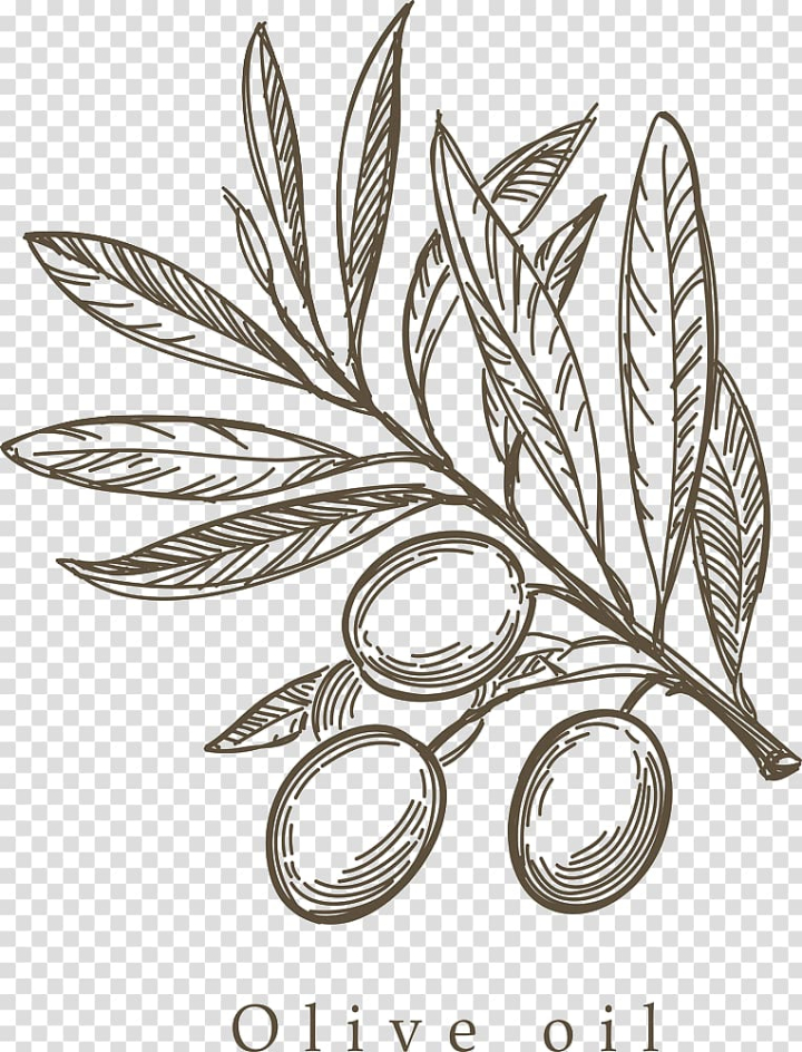mediterranean,cuisine,olive,painted,branch,watercolor painting,leaf,tree branch,monochrome,hand drawn,oil,flower,paint,olive leaf,olives,stock photography,circle,branches,paint splash,plant,paint brush,hand painted,olive oil,olive branch,euclidean vector,flora,line,food  drinks,black and white,mediterranean cuisine,drawing,sketch,hand,poster,png clipart,free png,transparent background,free clipart,clip art,free download,png,comhiclipart