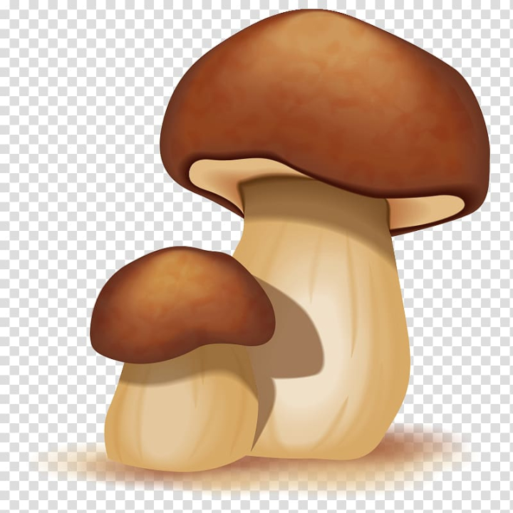 Free: Mushroom Cartoon, mushroom,fungus transparent background PNG clipart  
