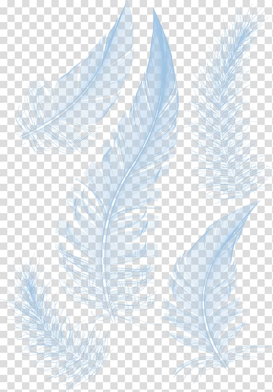 white,feather,feathers,painted,animals,hand,peacock feather,black white,color,cartoon,encapsulated postscript,ganso,white background,white smoke,white flower,line,hand painted,gratis,euclidean vector,background white,wing,white feather,white feathers,five,illustration,png clipart,free png,transparent background,free clipart,clip art,free download,png,comhiclipart