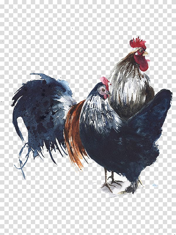 watercolor,painting,big,black,cock,black hair,animals,black white,galliformes,illustrator,big ben,big sale,animal,big cock,feather,black board,poultry farming,royaltyfree,stock photography,poultry,background black,phasianidae,beak,livestock,fowl,black background,rooster,chicken,bird,watercolor painting,illustration,png clipart,free png,transparent background,free clipart,clip art,free download,png,comhiclipart