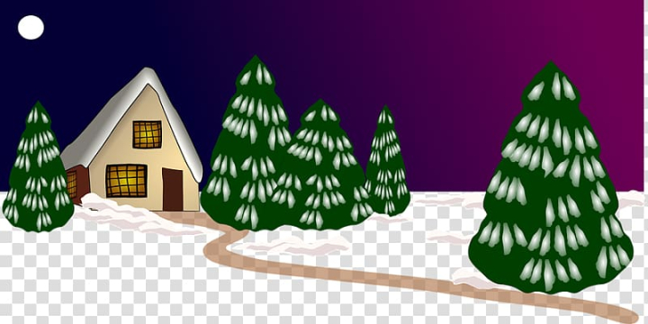 season,winter,autumn,christmas,year,nature,child,holidays,decor,christmas decoration,new year,summer,spring,fir,tree,christmas eve,christmas ornament,pixabay,pine family,new years eve,christmas tree,home,conifer,holiday,png clipart,free png,transparent background,free clipart,clip art,free download,png,comhiclipart