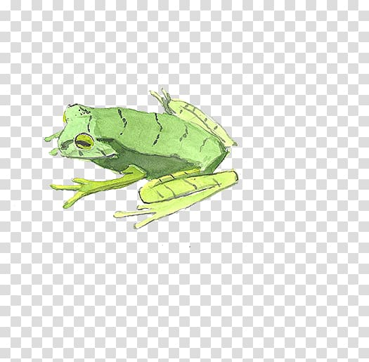 Free: Watercolor painting Illustration, frog transparent