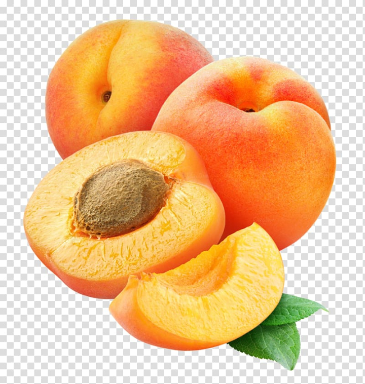 natural foods,food,orange,prunus,apricot kernel,ripening,food  drinks,diet food,stock photography,juice,peach,plum,apricot,fruit,png clipart,free png,transparent background,free clipart,clip art,free download,png,comhiclipart