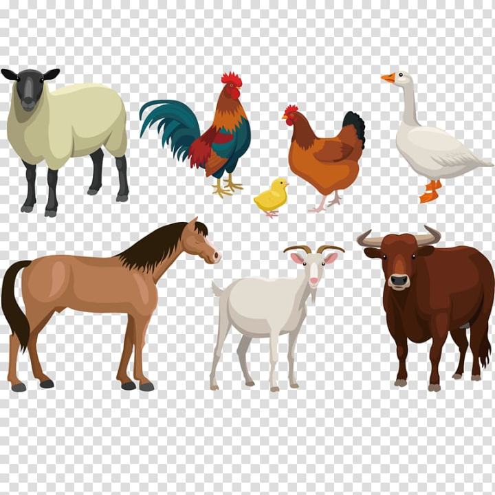 farm,animal,illustration,horse,other,mammal,animals,cow goat family,fauna,happy birthday vector images,goats,illustrator graphic styles,horn,royaltyfree,goat antelope,animation,anime character,anime girl,camel like mammal,cattle like mammal,cock,computer icons,cute animals,domestic animal,3d animation,cattle,goat,sheep,livestock,farm animal,vector illustration,assorted,png clipart,free png,transparent background,free clipart,clip art,free download,png,comhiclipart