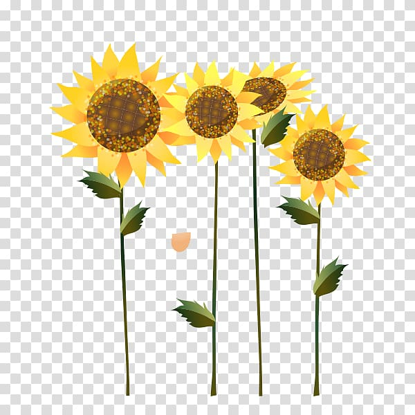 common,sunflower,seed,oil,plant stem,flower,encapsulated postscript,royaltyfree,flowers,graphic arts,daisy family,sunflower vector,sunflowers,sunflower watercolor,watercolor sunflower,watercolor sunflowers,sunflower seeds,sunflower border,stock illustration,plant,petal,flowering plant,floristry,floral design,drawing,yellow,common sunflower,sunflower seed,sunflower oil,illustration,png clipart,free png,transparent background,free clipart,clip art,free download,png,comhiclipart