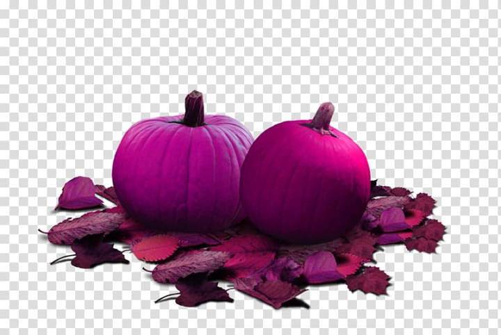 jps,berry,pumpkin,patch,halloween,rose,red,food,flower,magenta,fruit,vegetables,rose petal,roses,red ribbon,rose red,scalable vector graphics,squash,red curtain,red carpet,pink,petal,kiwifruit,display resolution,cucurbita,png clipart,free png,transparent background,free clipart,clip art,free download,png,comhiclipart