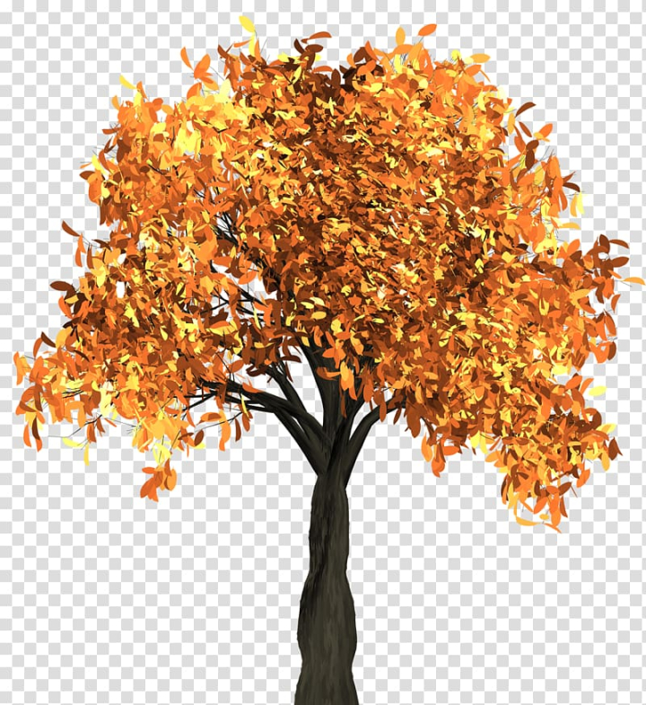 Free Orange Tree Autumn Leaf Color Tree Autumn Tree Transparent Background PNG Clipart Png Is