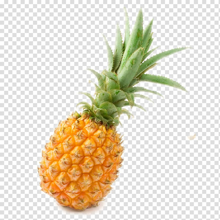 pineapple,juice,pineapple slice,watercolor pineapple,fruit,fruit  nut,happy family,strawberry,stock photography,pineapples,pineapple vector,plant,pineapple slices,pineapple fund,drink,cartoon pineapple,bromeliaceae,auglis,ananas,pineapple juice,slice,food,png clipart,free png,transparent background,free clipart,clip art,free download,png,comhiclipart