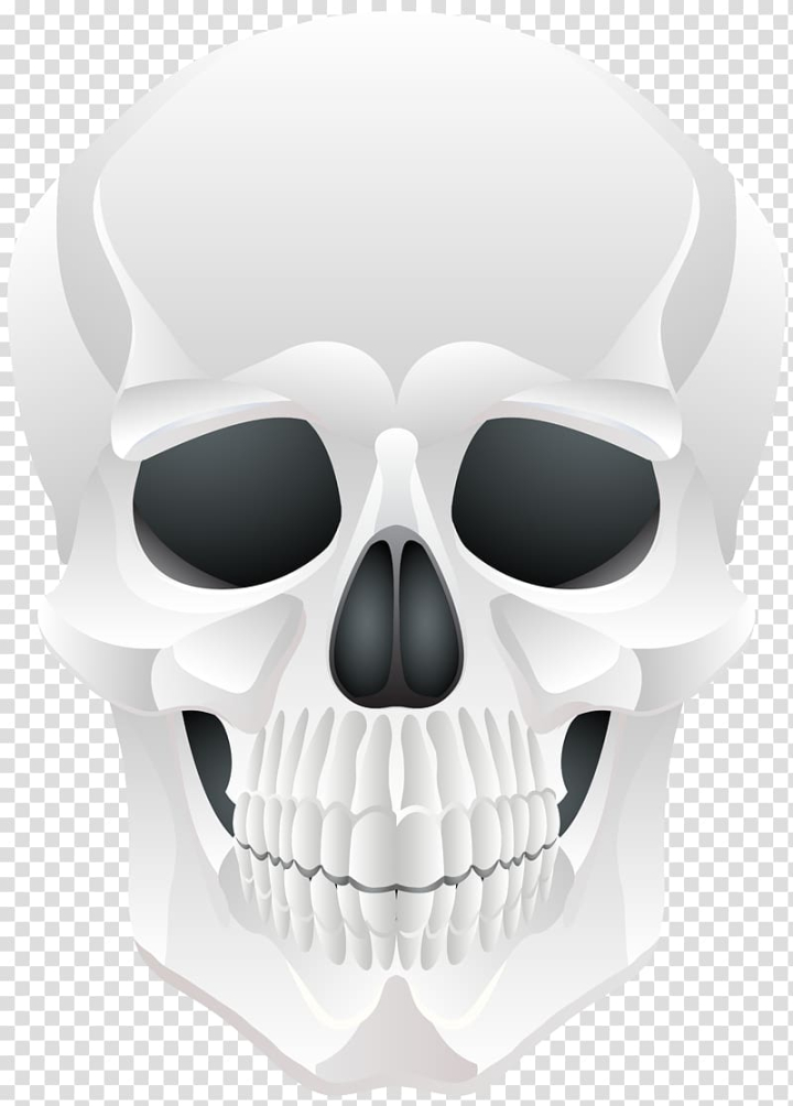 happy halloween,pumpkin,skull art,nose,product design,bone,skeleton,jaw,illustration,halloween pictures,halloween clipart,font,eyewear,vision care,halloween,skull,human,png clipart,free png,transparent background,free clipart,clip art,free download,png,comhiclipart