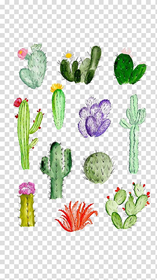 Cactus plant houseplant freshness. AI | Premium Photo Illustration -  rawpixel