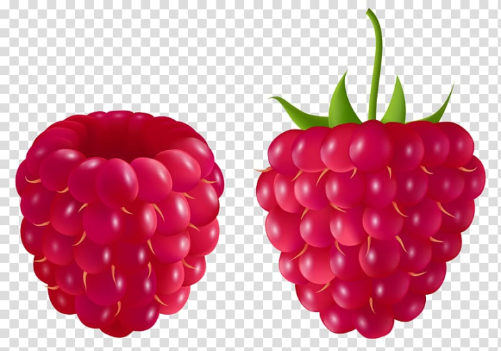 natural foods,frutti di bosco,food,superfood,cranberry,produce,ingredient,blue raspberry flavor,fruits,boysenberry,computer icons,berry,raspberry,blackberry,fruit,red,illustration,png clipart,free png,transparent background,free clipart,clip art,free download,png,comhiclipart