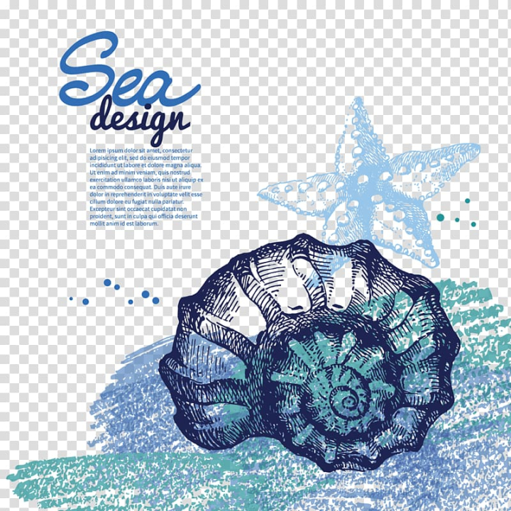 Star Fish Vector Art, Icons, and Graphics for Free Download