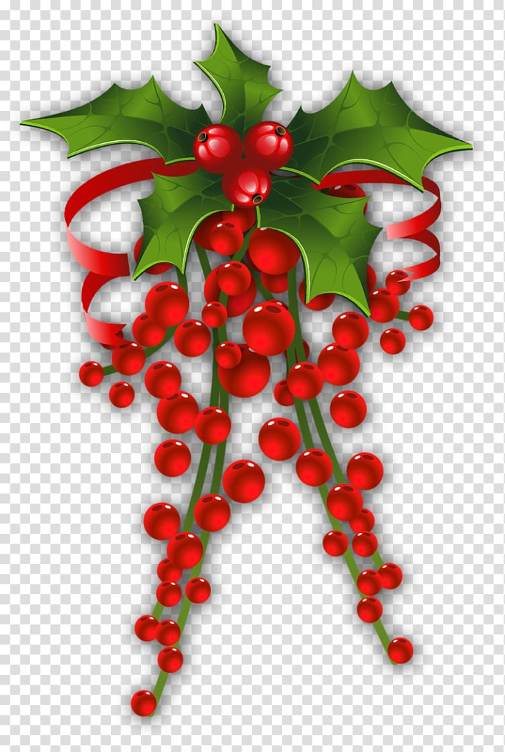 christmas,decoration,decor,food,branch,fruit,candy cane,garland,holly,phoradendron tomentosum,plant,produce,tree,flowering plant,common holly,aquifoliales,berry,christmas clipart,christmas mistletoe,christmas ornament,christmas tree,aquifoliaceae,xmas clipart,christmas decoration,mistletoe,red,illustration,png clipart,free png,transparent background,free clipart,clip art,free download,png,comhiclipart