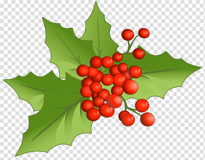 natural,foods,large,leaf,christmas decoration,desktop wallpaper,candy cane,phoradendron tomentosum,plant,produce,tree,aquifoliaceae,flowering plant,christmas tree,christmas ornament,christmas mistletoe,christmas clipart,xmas clipart,holly,aquifoliales,natural foods,fruit,christmas,mistletoe,graphic,png clipart,free png,transparent background,free clipart,clip art,free download,png,comhiclipart