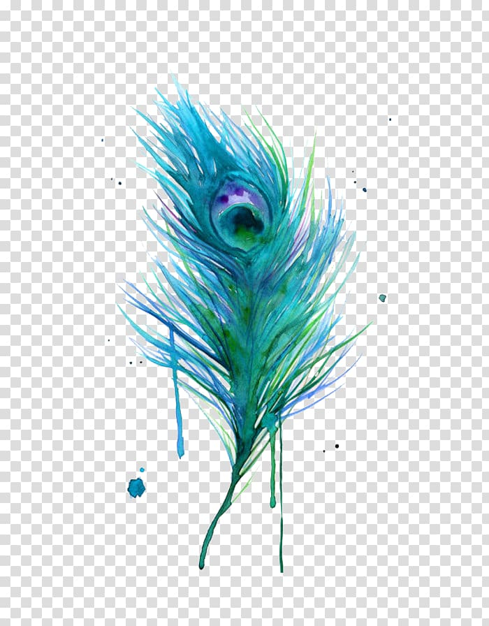 Free: Asiatic peafowl Feather Bird , Peacock feather, peacock feather  transparent background PNG clipart 
