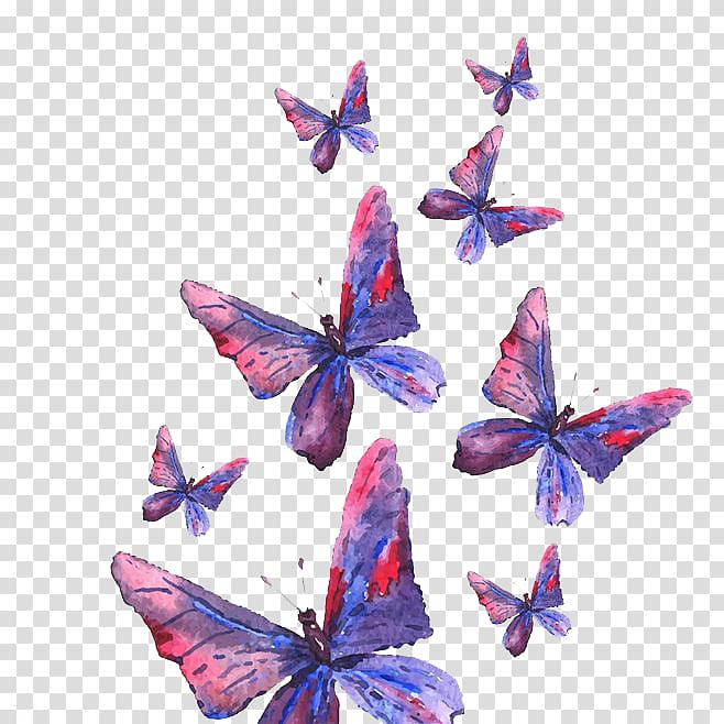 Free: Butterfly, Purple Butterfly transparent background PNG clipart -  