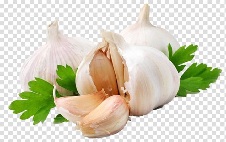 garlic,press,alternative,health,services,leaf vegetable,food,recipe,chili pepper,onion,vegetables,chef,restaurant,plant,onion genus,produce,ingredient,alternative medicine,chutney,clove,download  with transparent background,free,garlic png,garlic presses,ginger,allicin,garlic press,shallot,vegetable,alternative health,health services,white,illustration,png clipart,free png,transparent background,free clipart,clip art,free download,png,comhiclipart
