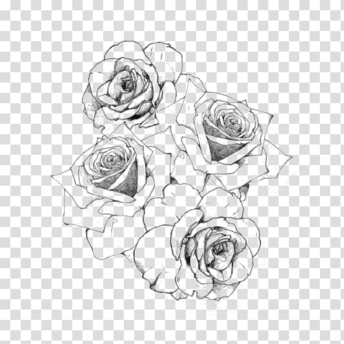 Doodle Rose Icon Kids Hand Drawing Line Art Flower Vector Illustration  Stock Illustration - Download Image Now - iStock