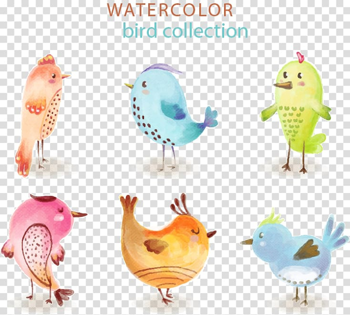 bird,adobe,illustrator,euclidean,painted,watercolor painting,bird cage,water glass,water splash,watercolor,water bubbles,product design,water drop,paint splash,paint brush,organism,illustration,hand painted,graphics,easter,decorative patterns,birds,beak,cat,adobe illustrator,euclidean vector,water,painted bird,png clipart,free png,transparent background,free clipart,clip art,free download,png,comhiclipart