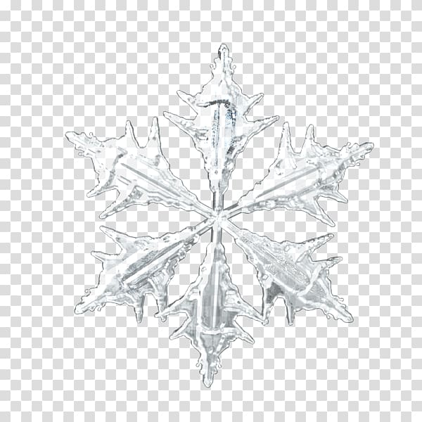 hexagonal,snowflakes,white,winter,symmetry,monochrome,christmas decoration,new,geometric shape,merry christmas,christmas lights,christmas frame,creative christmas,winter snow,snow,shadow,nature,monochrome photography,tree,line,body jewelry,christmas border,christmas tree,communicatiemiddel,creative,crystal,decoration,hexagonal snowflakes,hexagram,black and white,christmas,hexagon,symbol,snowflake,png clipart,free png,transparent background,free clipart,clip art,free download,png,comhiclipart