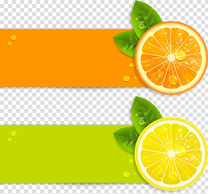 orange fruit vector png