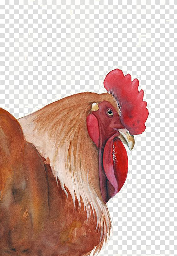 Free: Rooster Chicken Watercolor painting Art, cock transparent background  PNG clipart 