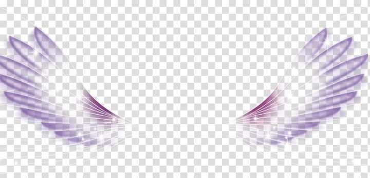 Feather Wings Hd Transparent, Purple Feather Wing, Purple Feather, Feather,  Wing PNG Image For Free Download
