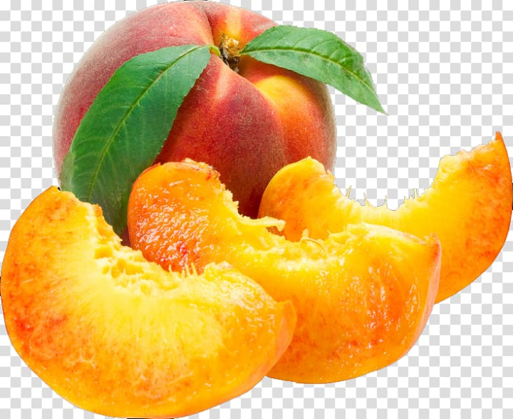 berry,fruit,peach,natural foods,food,fruit  nut,peach petals,watercolor peach,peach fruit,peaches,peel,peach flowers,peach flower,peach blossom,image resolution,diet food,delicious,smoothie,nectarine,berry fruit,png clipart,free png,transparent background,free clipart,clip art,free download,png,comhiclipart