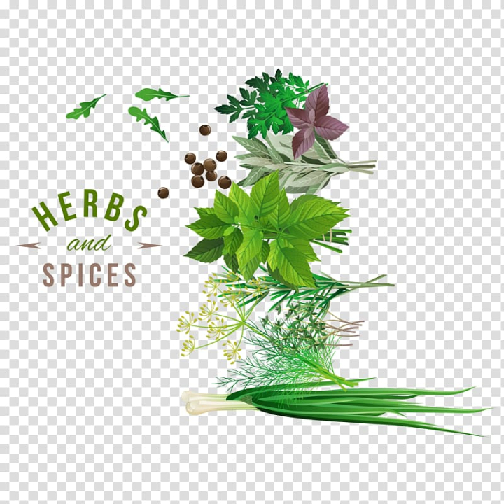 Free: Assorted green herbs and spices , Herb Spice Vegetable, Fresh herbs  and spices design material transparent background PNG clipart 