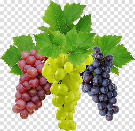 grape png