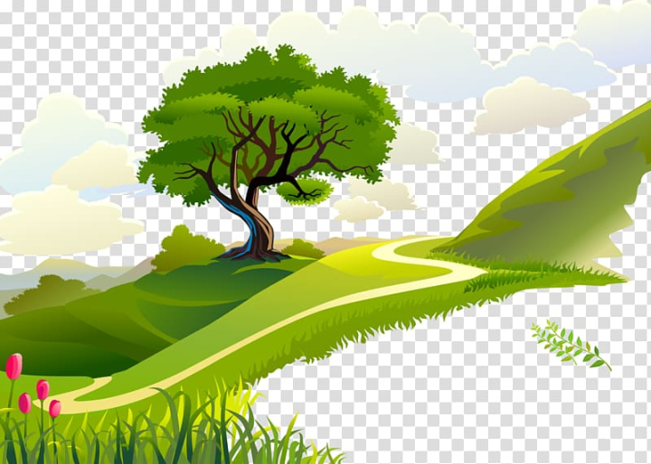 Free: Green tree on mountain, Morning Quotation , Forest transparent  background PNG clipart 